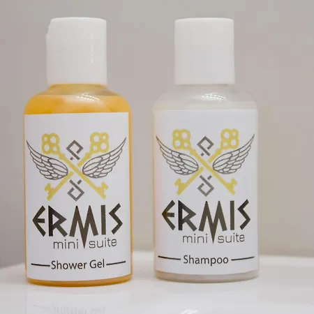Daire Ermis Mini # 02